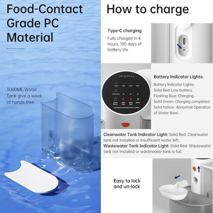 Pouring Pet Water Dispenser